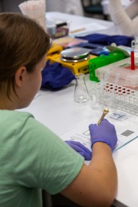 Warsztaty Fascynująca podróż do świata biotechnologii i chemii. Kliknij, aby powiększyć zdjęcie.
