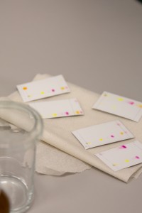 Warsztaty Fascynująca podróż do świata biotechnologii i chemii. Kliknij, aby powiększyć zdjęcie.