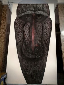 Click to zoom the picture.