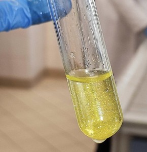 Uczniowie z IX Liceum Ogólnokształcącego w Katedrze Chemii Nieorganicznej i Analitycznej. Kliknij, aby powiększyć zdjęcie.