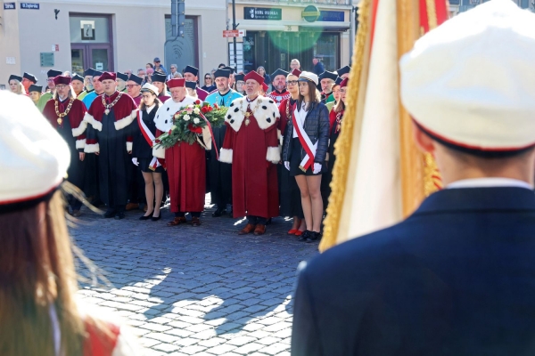Kliknij, aby powiększyć zdjęcie.