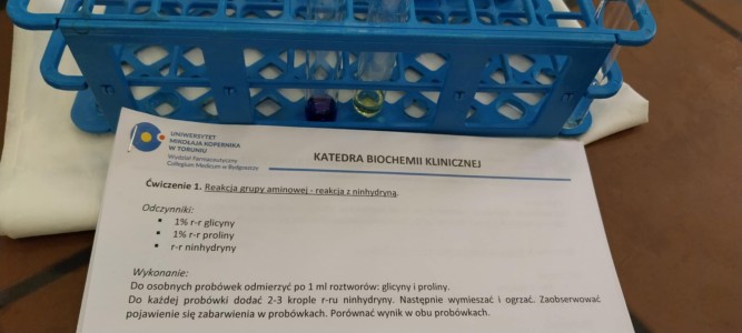 VI edycja warsztatów dla licealistów. Kliknij, aby powiększyć zdjęcie.