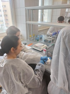 VI edycja warsztatów dla licealistów. Kliknij, aby powiększyć zdjęcie.