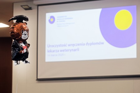 Kliknij, aby powiększyć zdjęcie.