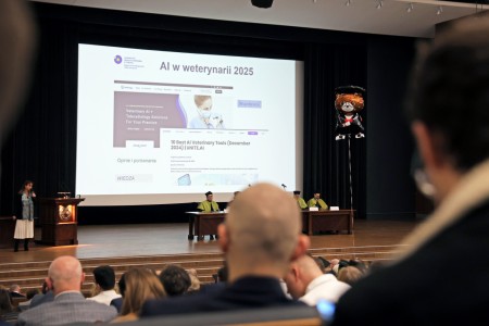 Kliknij, aby powiększyć zdjęcie.