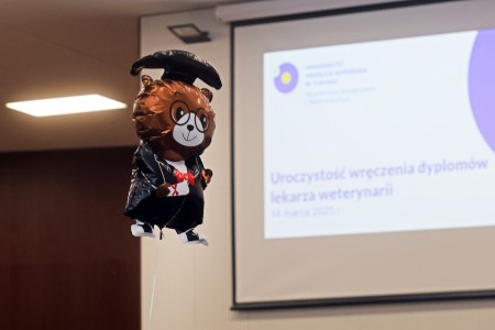 Kliknij, aby powiększyć zdjęcie.