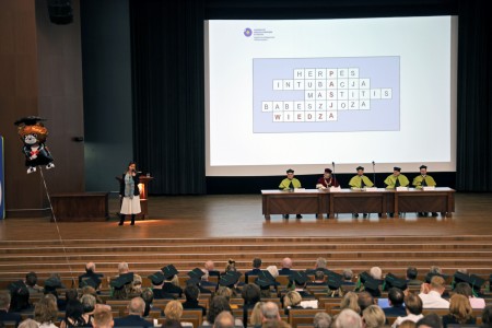 Kliknij, aby powiększyć zdjęcie.