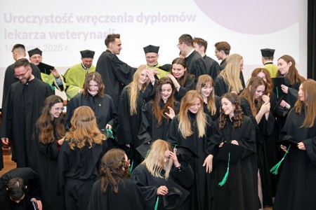 Kliknij, aby powiększyć zdjęcie.