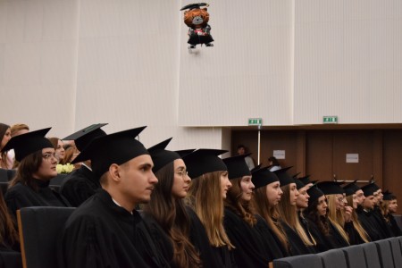Kliknij, aby powiększyć zdjęcie.