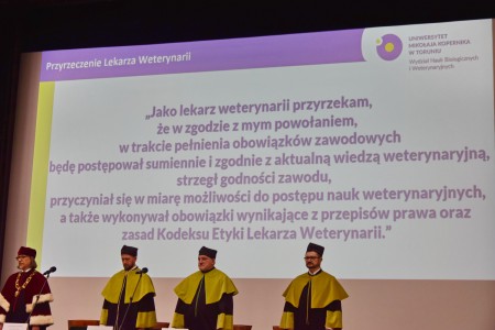 Kliknij, aby powiększyć zdjęcie.