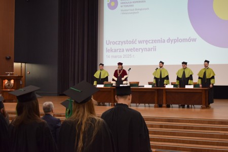 Kliknij, aby powiększyć zdjęcie.