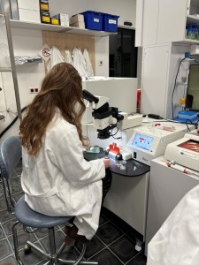 Multidimensional and Analytical Electron Microscopy for Life Scientists. Kliknij, aby powiększyć zdjęcie.