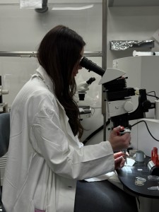Multidimensional and Analytical Electron Microscopy for Life Scientists. Kliknij, aby powiększyć zdjęcie.