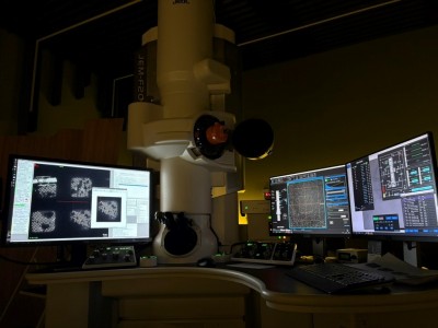Multidimensional and Analytical Electron Microscopy for Life Scientists. Kliknij, aby powiększyć zdjęcie.