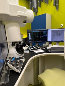 Multidimensional and Analytical Electron Microscopy for Life Scientists. Kliknij, aby powiększyć zdjęcie.