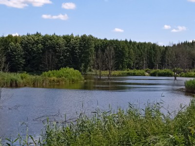 Stacja terenowa [fot. Pracownicy KZiEK]