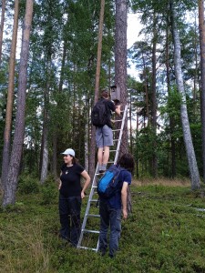 Stacja terenowa [fot. Pracownicy KZiEK]