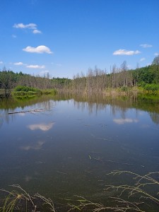 Stacja terenowa [fot. Pracownicy KZiEK]