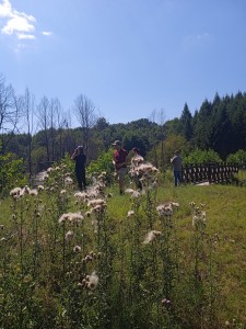 Stacja terenowa [fot. Pracownicy KZiEK]