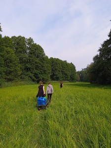 Stacja terenowa [fot. Pracownicy KZiEK]