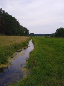 Stacja terenowa [fot. Pracownicy KZiEK]
