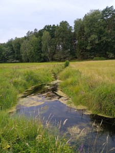 Stacja terenowa [fot. Pracownicy KZiEK]