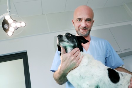 Diagnostyka weterynaryjna [fot. Andrzej Romański]