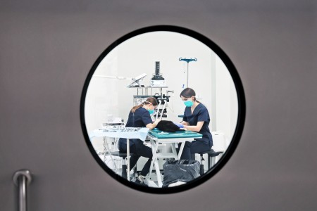 Diagnostyka weterynaryjna [fot. Andrzej Romański]