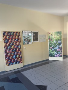 Kliknij, aby powiększyć zdjęcie.