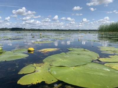 Stacja terenowa w Dobiegniewie [fot. Nadesłane]