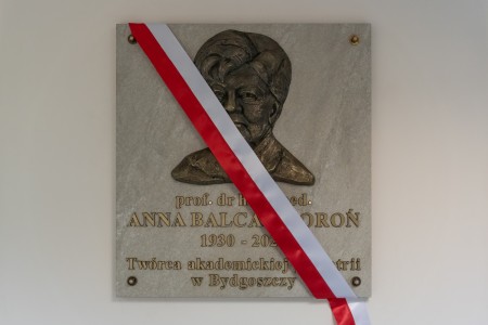 Kliknij, aby powiększyć zdjęcie.