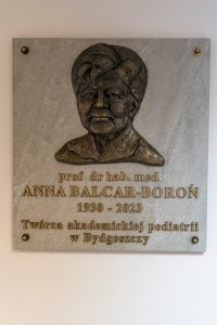 Kliknij, aby powiększyć zdjęcie.