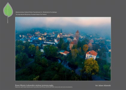 Click to zoom the picture.