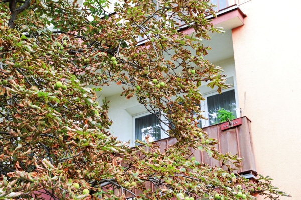 Click to zoom the picture.