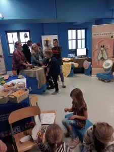 Kliknij, aby powiększyć zdjęcie.