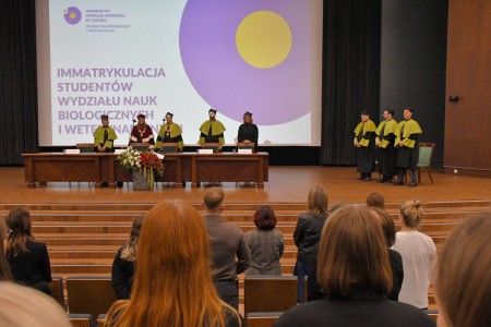 Kliknij, aby powiększyć zdjęcie.