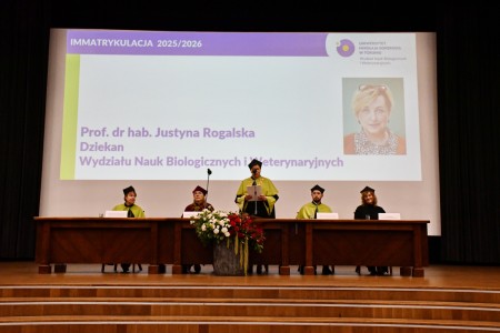Kliknij, aby powiększyć zdjęcie.