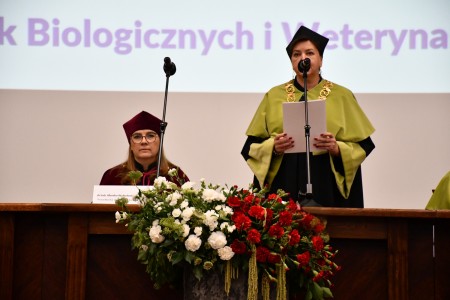Kliknij, aby powiększyć zdjęcie.