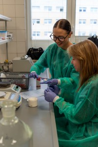 VII edycja warsztatów dla licealistów. Kliknij, aby powiększyć zdjęcie.