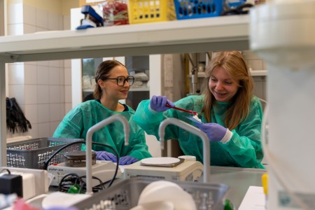 VII edycja warsztatów dla licealistów. Kliknij, aby powiększyć zdjęcie.