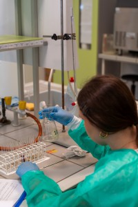 VII edycja warsztatów dla licealistów. Kliknij, aby powiększyć zdjęcie.