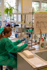 VII edycja warsztatów dla licealistów. Kliknij, aby powiększyć zdjęcie.