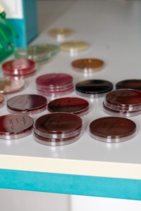 VII edycja warsztatów dla licealistów. Kliknij, aby powiększyć zdjęcie.