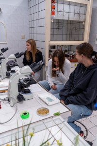 VII edycja warsztatów dla licealistów. Kliknij, aby powiększyć zdjęcie.