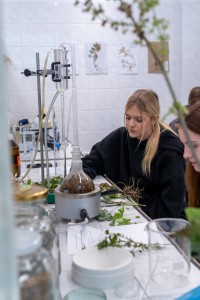 VII edycja warsztatów dla licealistów. Kliknij, aby powiększyć zdjęcie.