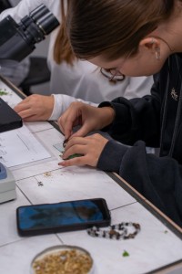 VII edycja warsztatów dla licealistów. Kliknij, aby powiększyć zdjęcie.