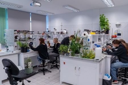 VII edycja warsztatów dla licealistów. Kliknij, aby powiększyć zdjęcie.