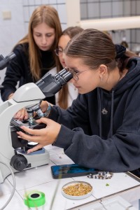 VII edycja warsztatów dla licealistów. Kliknij, aby powiększyć zdjęcie.