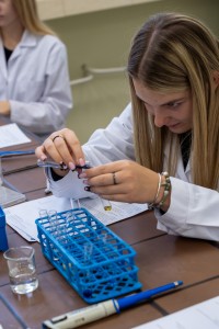 VII edycja warsztatów dla licealistów. Kliknij, aby powiększyć zdjęcie.