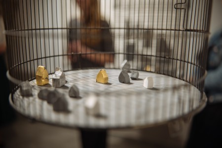 Kliknij, aby powiększyć zdjęcie.